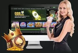 9080 slot VIP App Mobile Dashboard Level Progress Myanmar
